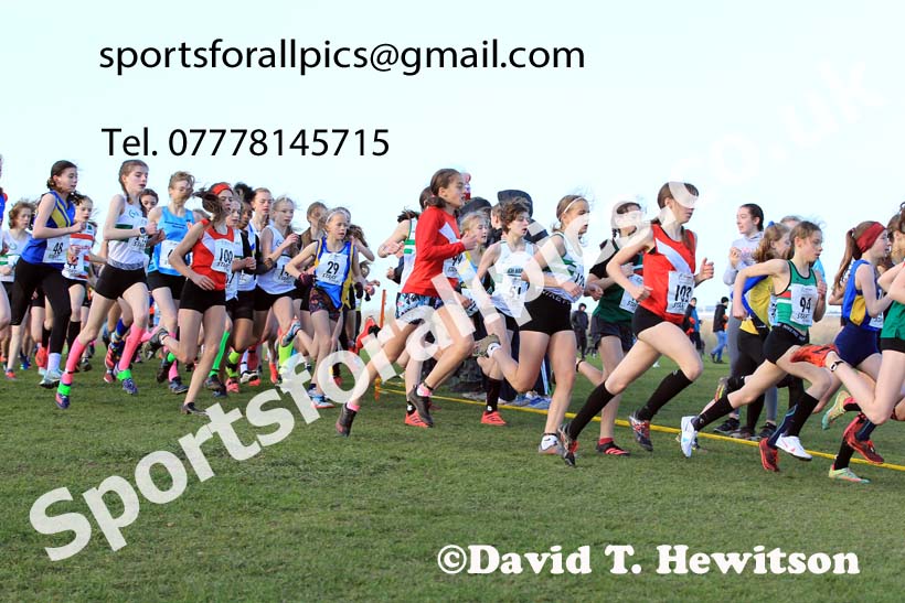Girls under-13s 2022 Northern Cross Country Champs., Pontefract. Photo: David T. Hewitson/Sports for All Pics